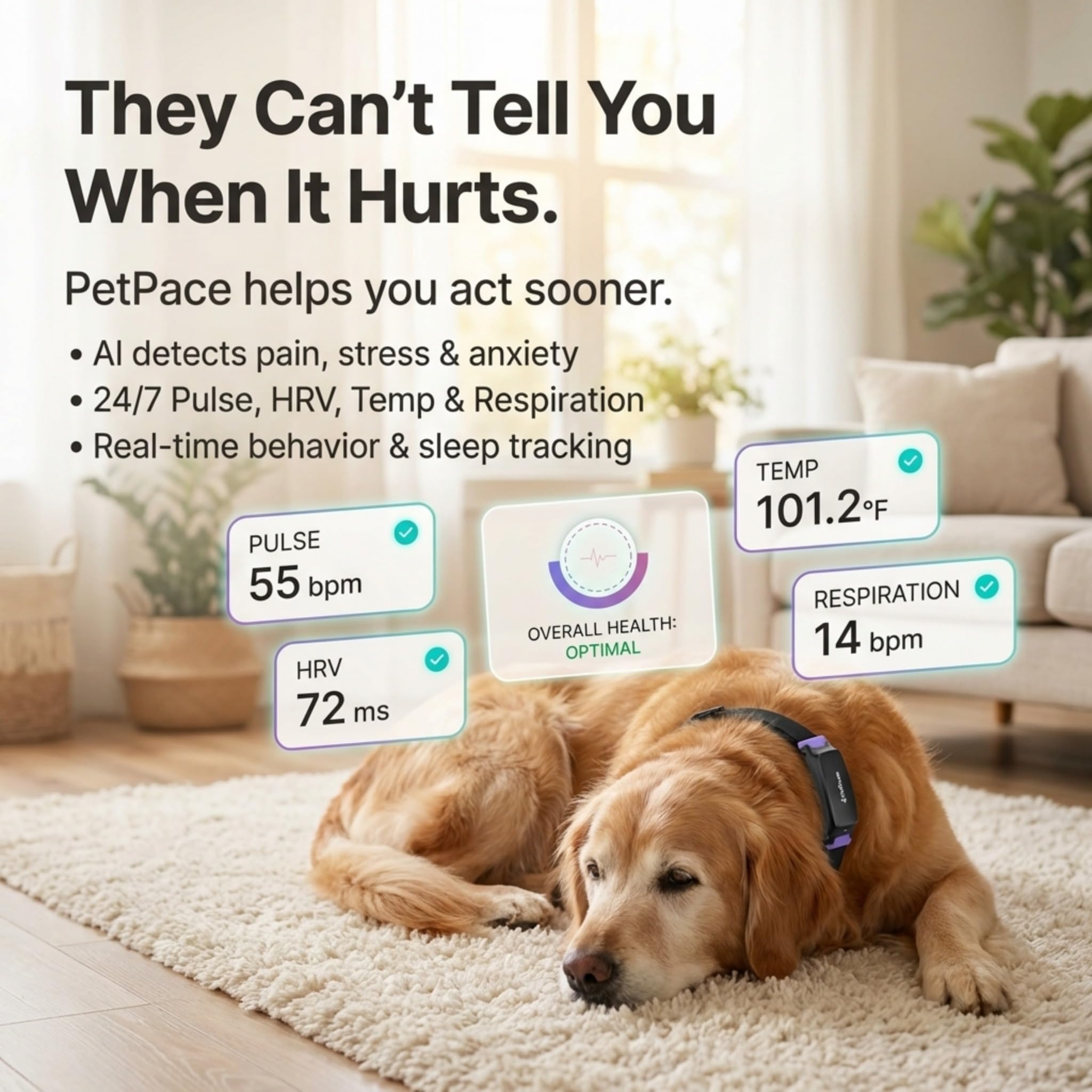 AI Smart Dog Health Collar – 24/7 Vital Signs Monitor, GPS Tracking, Heart Rate, Pain Detection, Telehealth Vet Access, Smart Watch Sync | PetPace V3.0 - Subscription Required
