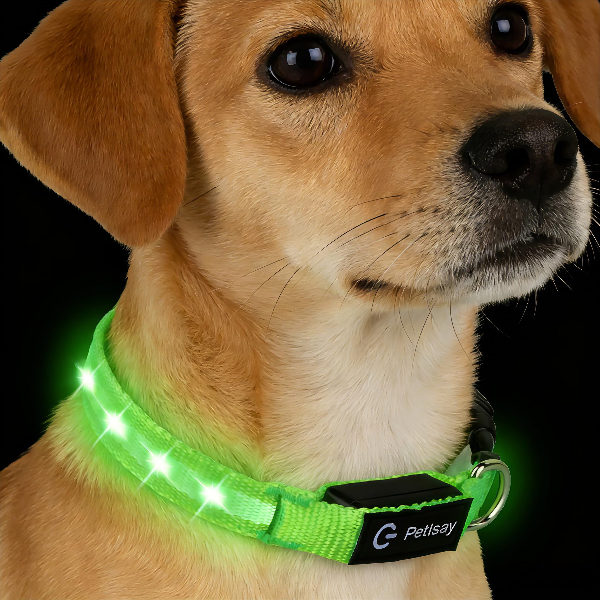 Super Bright USB-C Rechargeable LED Dog Safety Collar