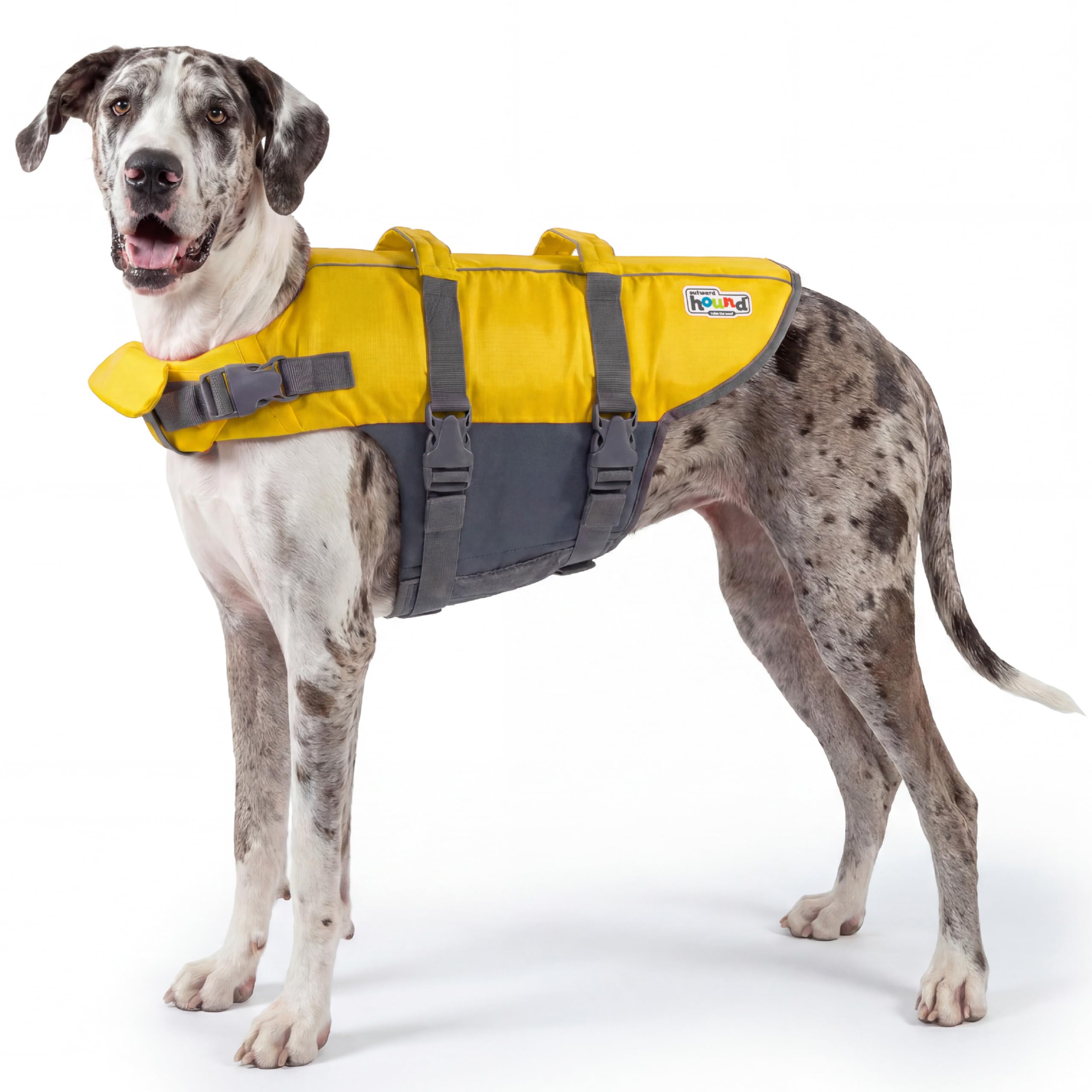 Outward Hound Dawson Red Dog Life Jacket, Large