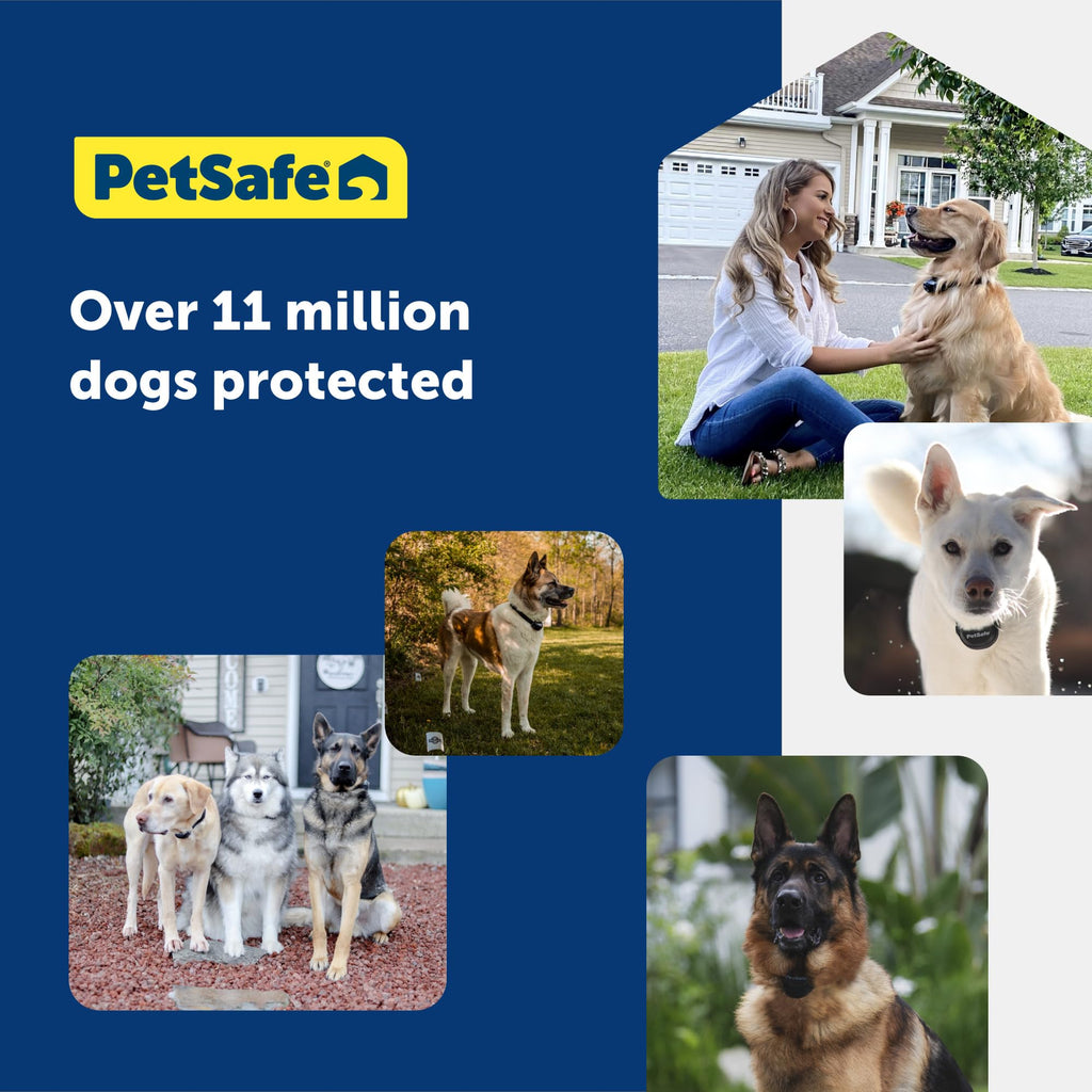 PetSafe Animal Collar