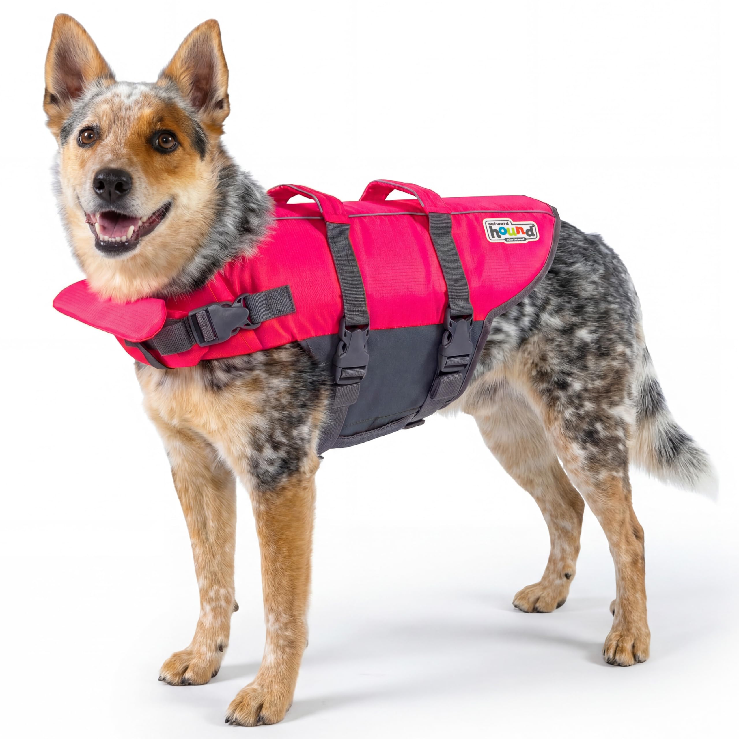 Outward Hound Dawson Red Dog Life Jacket, Large