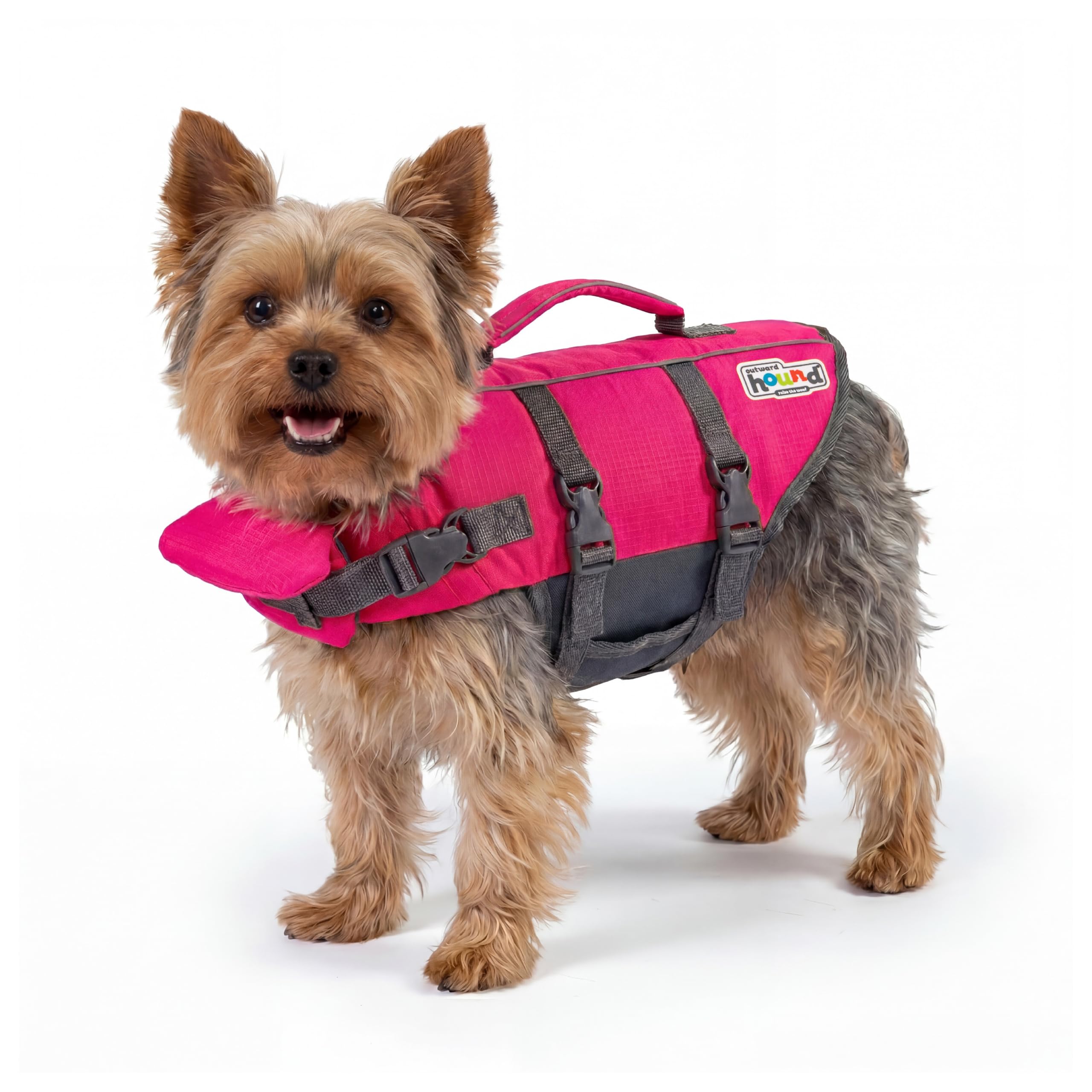 Outward Hound Dawson Red Dog Life Jacket, Large