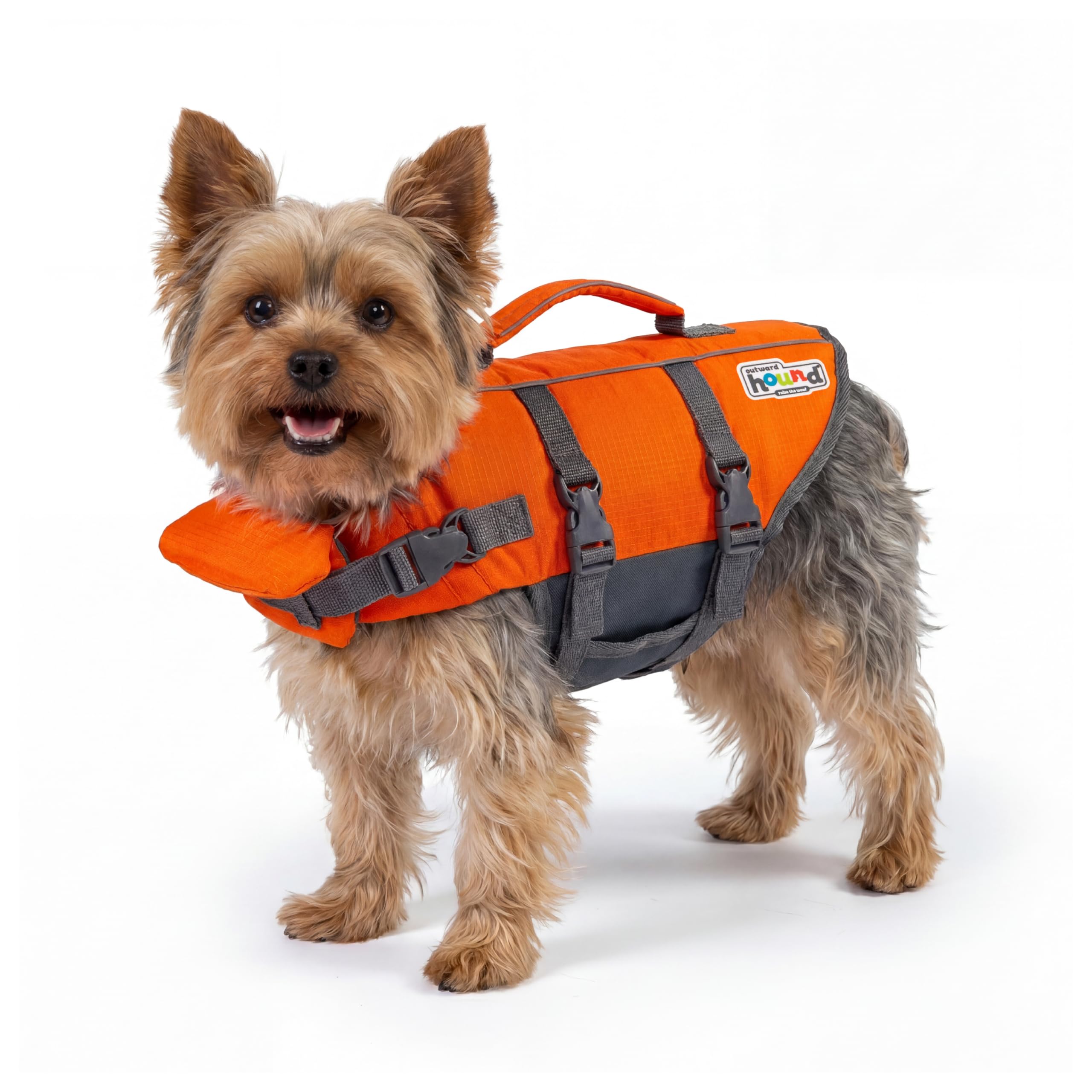Outward Hound Dawson Red Dog Life Jacket, Large