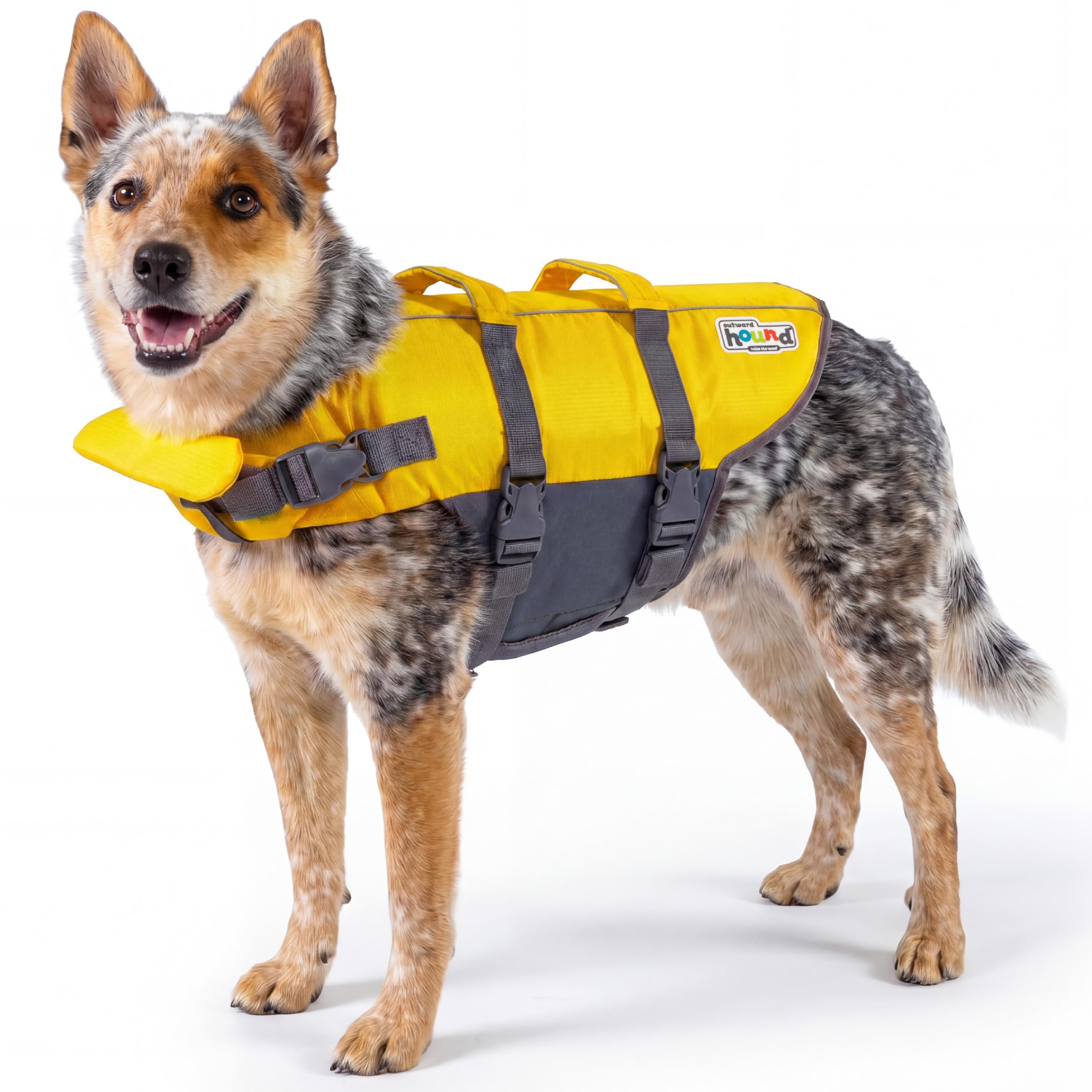 Outward Hound Dawson Red Dog Life Jacket, Large