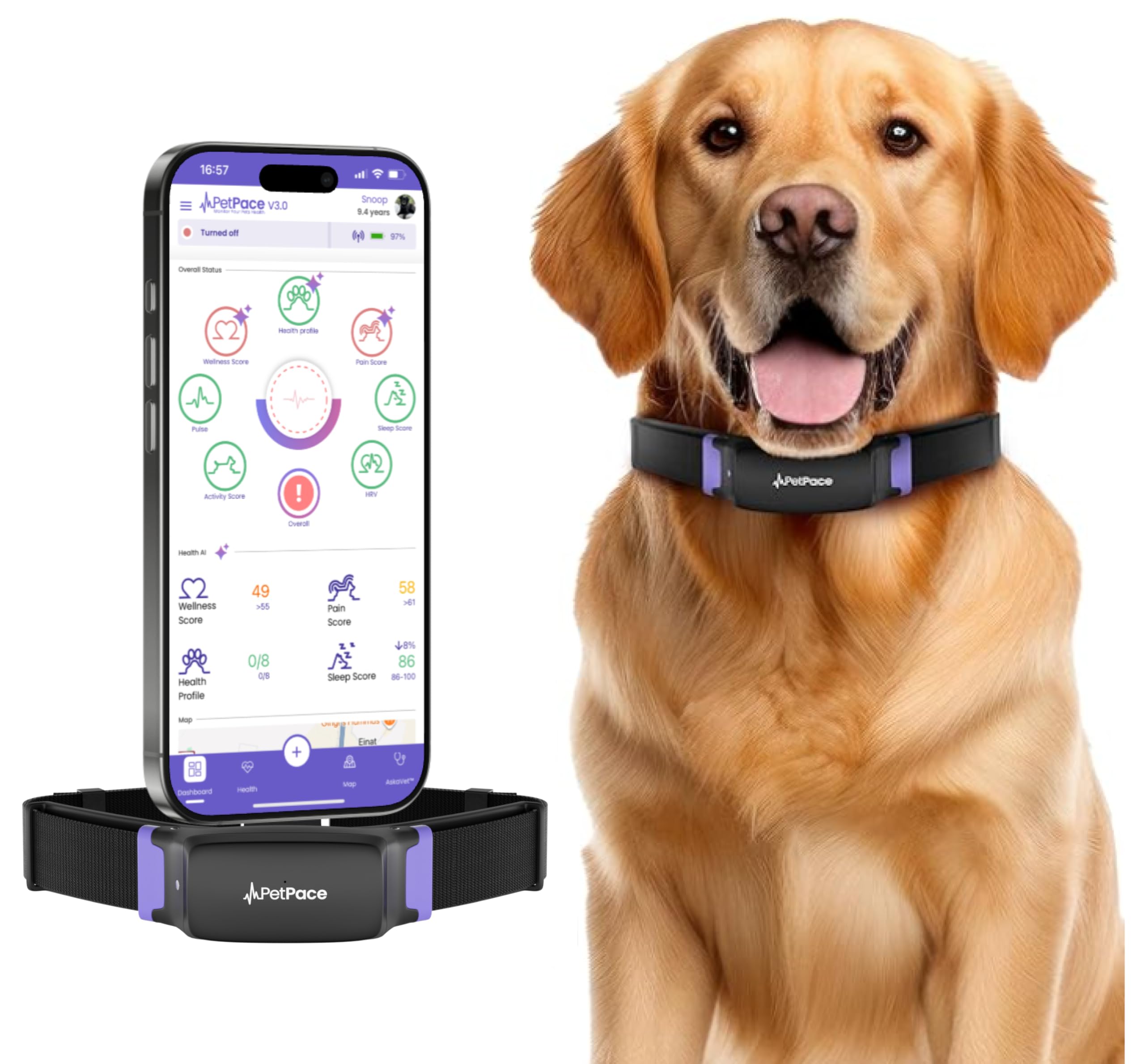 AI Smart Dog Health Collar – 24/7 Vital Signs Monitor, GPS Tracking, Heart Rate, Pain Detection, Telehealth Vet Access, Smart Watch Sync | PetPace V3.0 - Subscription Required