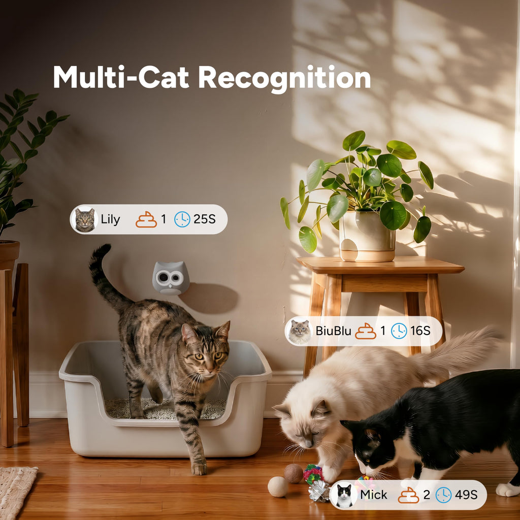 SiiPet AI Cat Camera – Litter Box Monitoring, Cat Camera with Phone APP Indoor, Multi-Cat Recognition, Early UTI & Diarrhea Health Indicating, Wireless Pet Cam with Night Vision