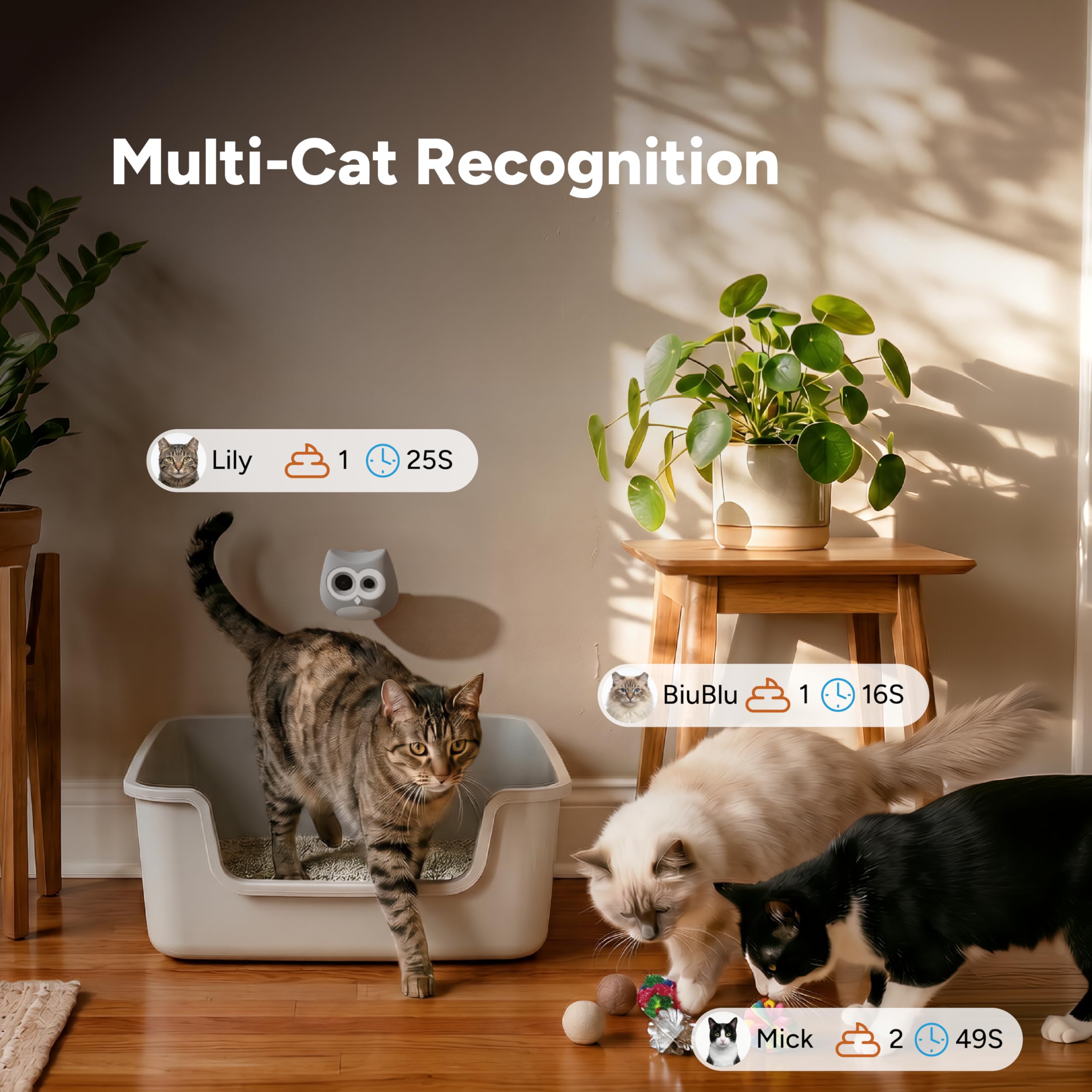 SiiPet AI Cat Camera – Litter Box Monitoring, Cat Camera with Phone APP Indoor, Multi-Cat Recognition, Early UTI & Diarrhea Health Indicating, Wireless Pet Cam with Night Vision