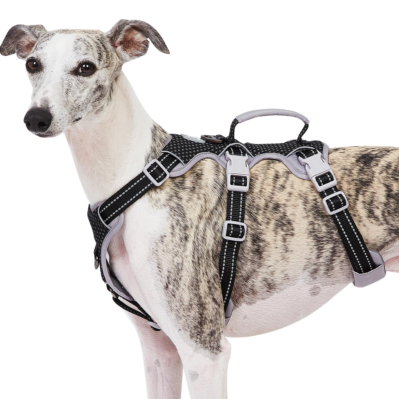 Huntboo Escape-Proof Reflective Dog Harness with Handle