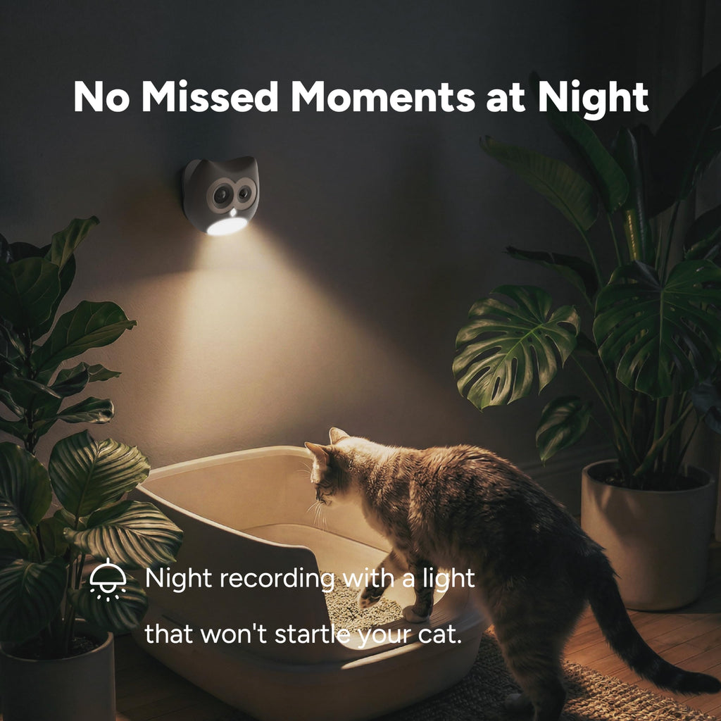 SiiPet AI Cat Camera – Litter Box Monitoring, Cat Camera with Phone APP Indoor, Multi-Cat Recognition, Early UTI & Diarrhea Health Indicating, Wireless Pet Cam with Night Vision