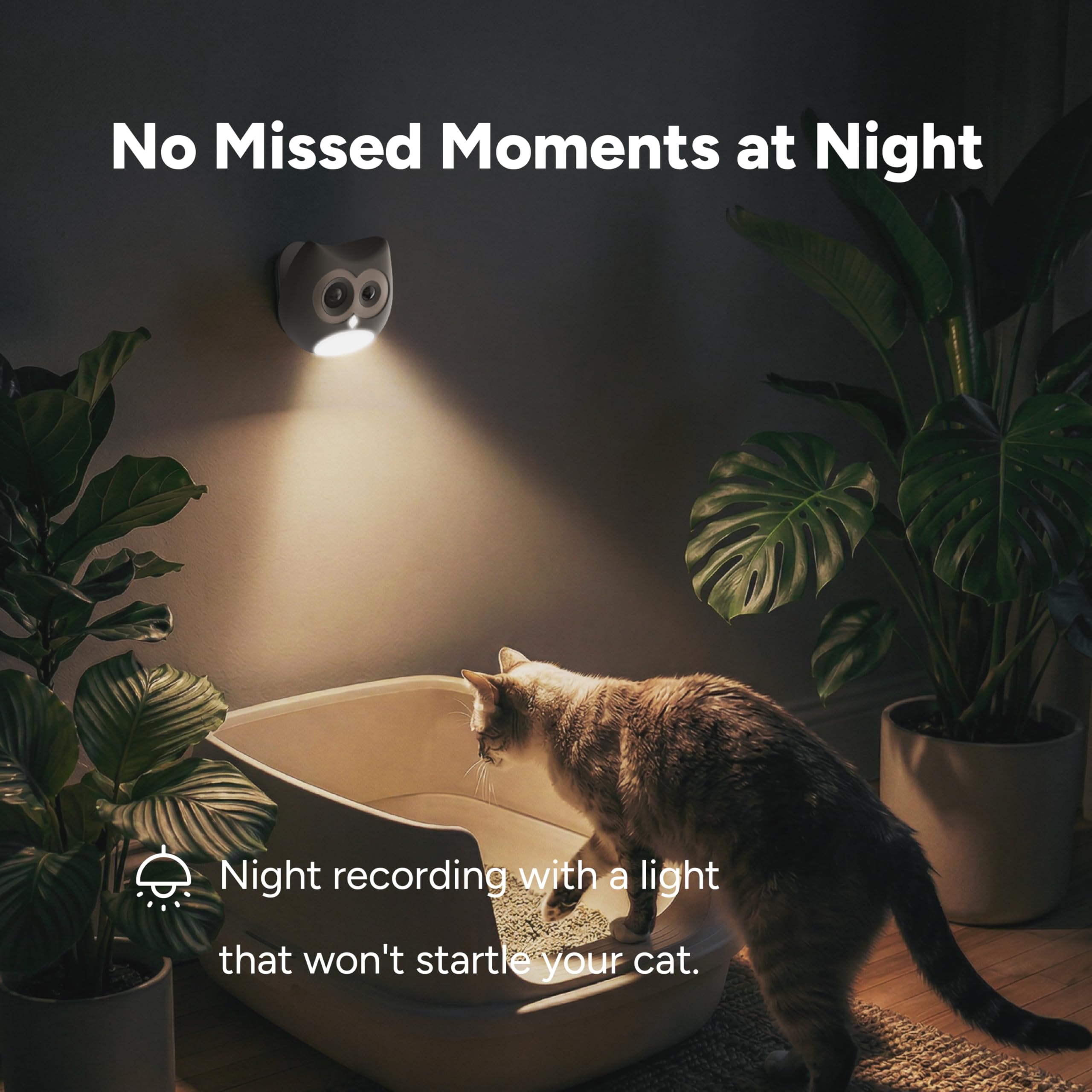 SiiPet AI Cat Camera – Litter Box Monitoring, Cat Camera with Phone APP Indoor, Multi-Cat Recognition, Early UTI & Diarrhea Health Indicating, Wireless Pet Cam with Night Vision