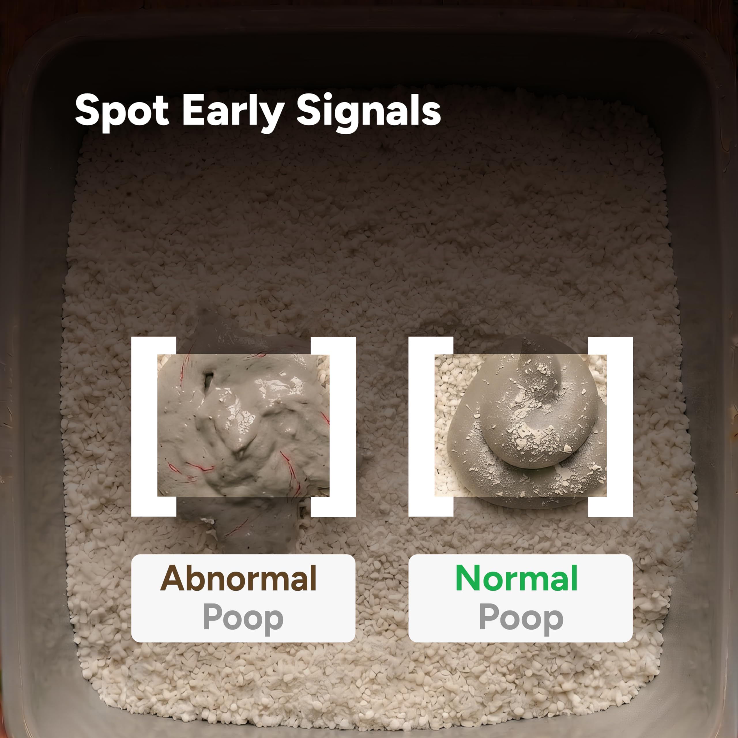 SiiPet AI Cat Camera – Litter Box Monitoring, Cat Camera with Phone APP Indoor, Multi-Cat Recognition, Early UTI & Diarrhea Health Indicating, Wireless Pet Cam with Night Vision