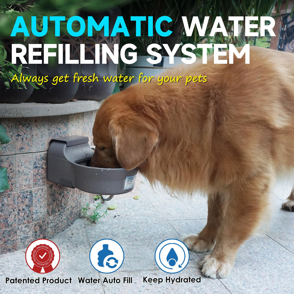 PETSOLON Automatic Dog Water Dispenser