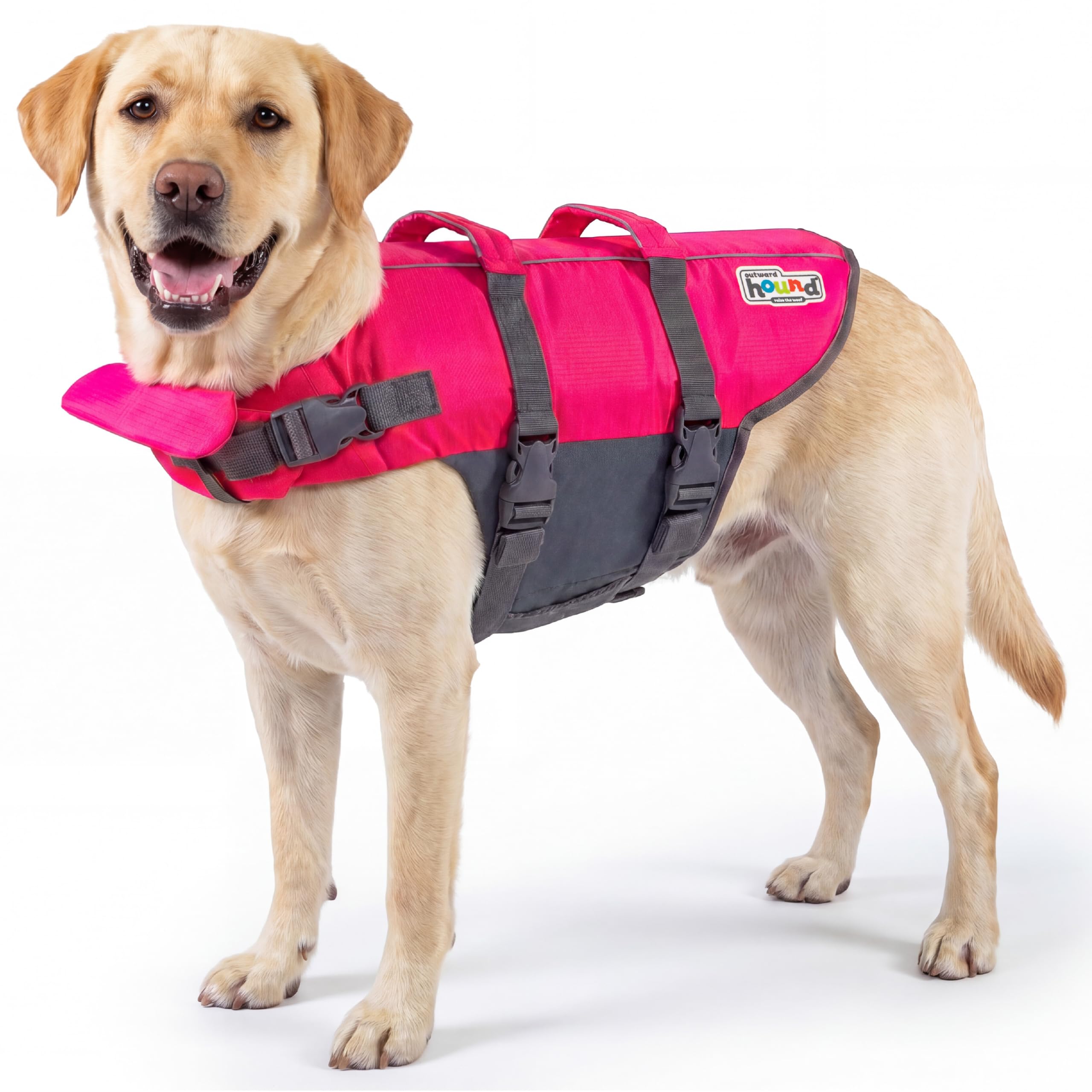 Outward Hound Dawson Red Dog Life Jacket, Large