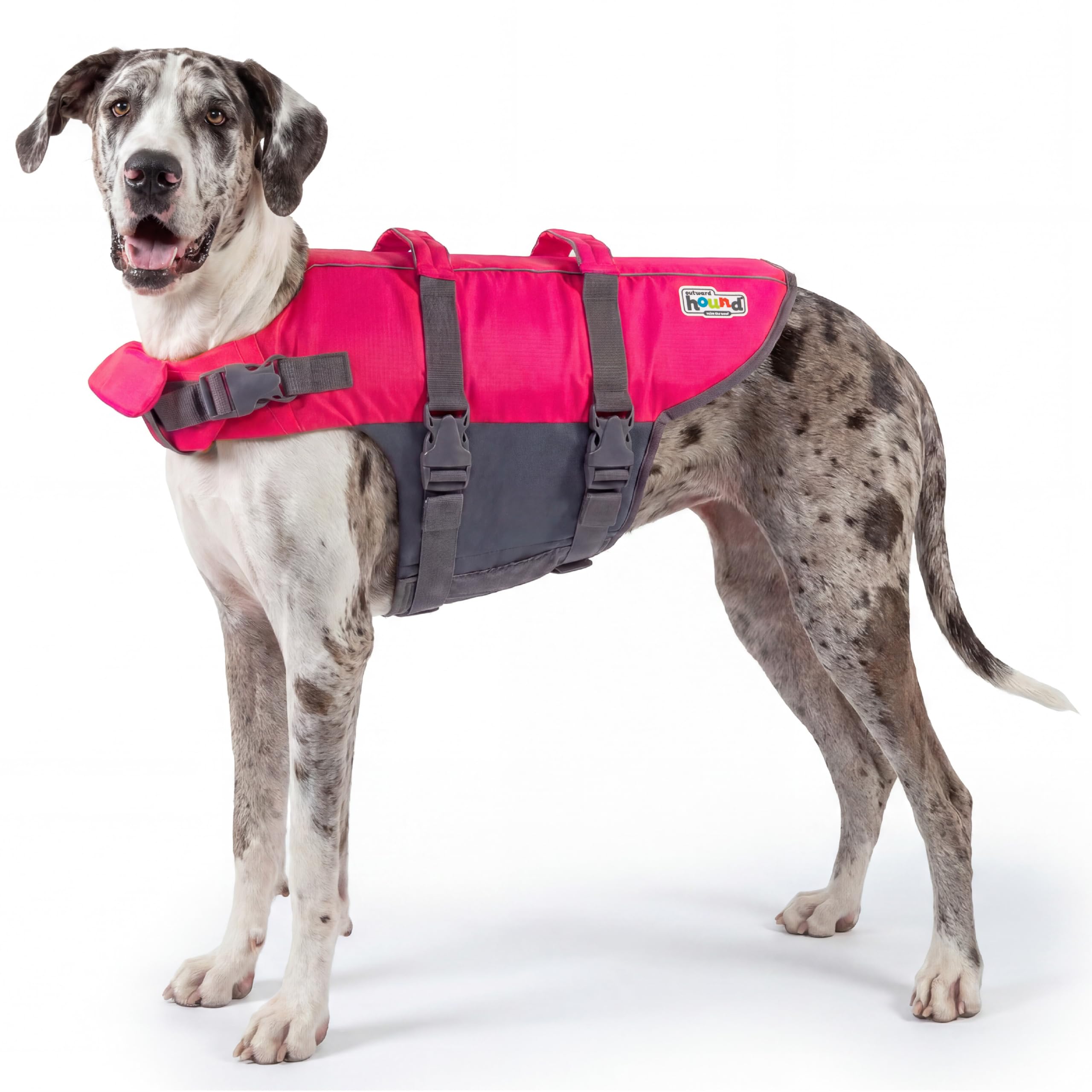 Outward Hound Dawson Red Dog Life Jacket, Large
