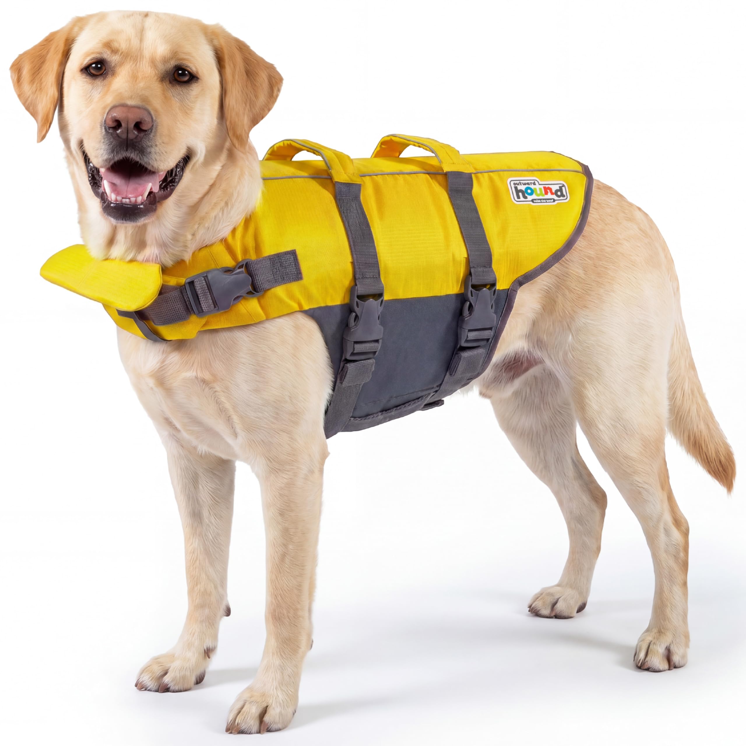 Outward Hound Dawson Red Dog Life Jacket, Large