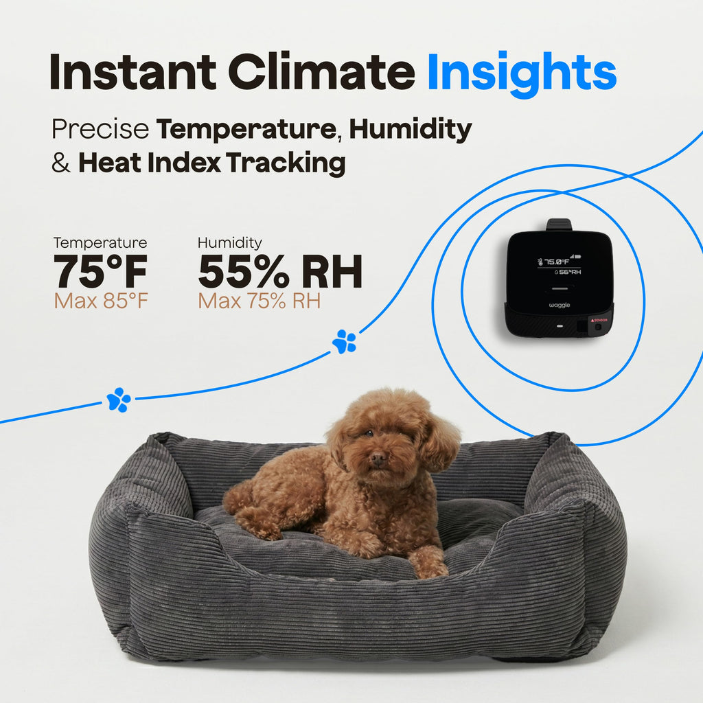 Waggle RV Pet Temperature and Humidity Safety Monitor