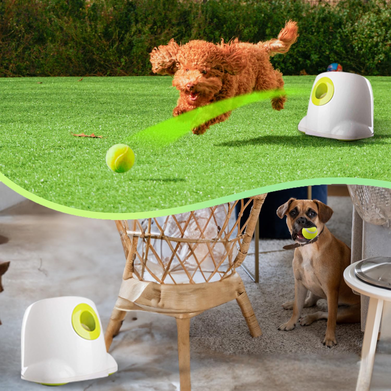 AFP Automatic Dog Ball Launcher with 3 Fetch Balls