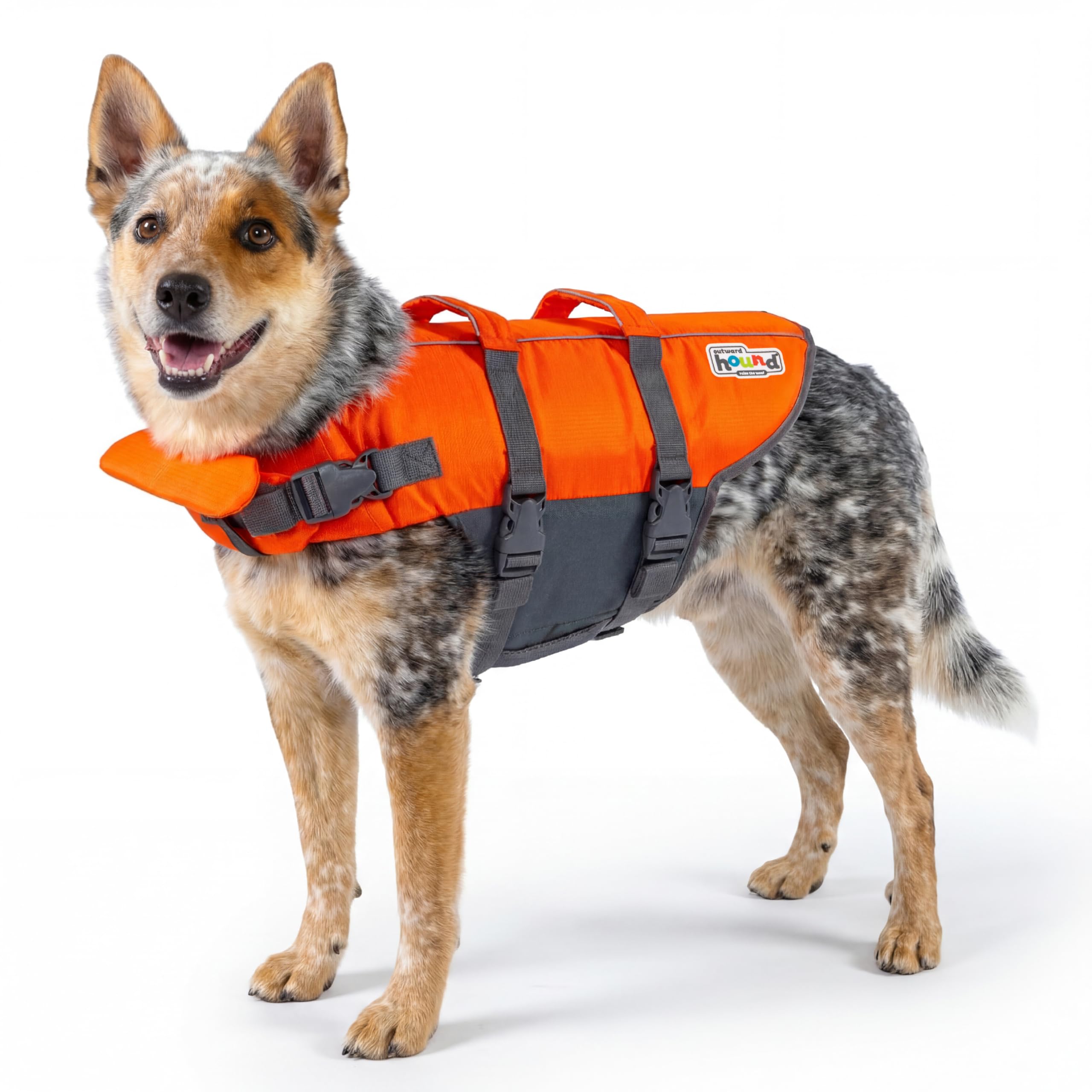 Outward Hound Dawson Red Dog Life Jacket, Large