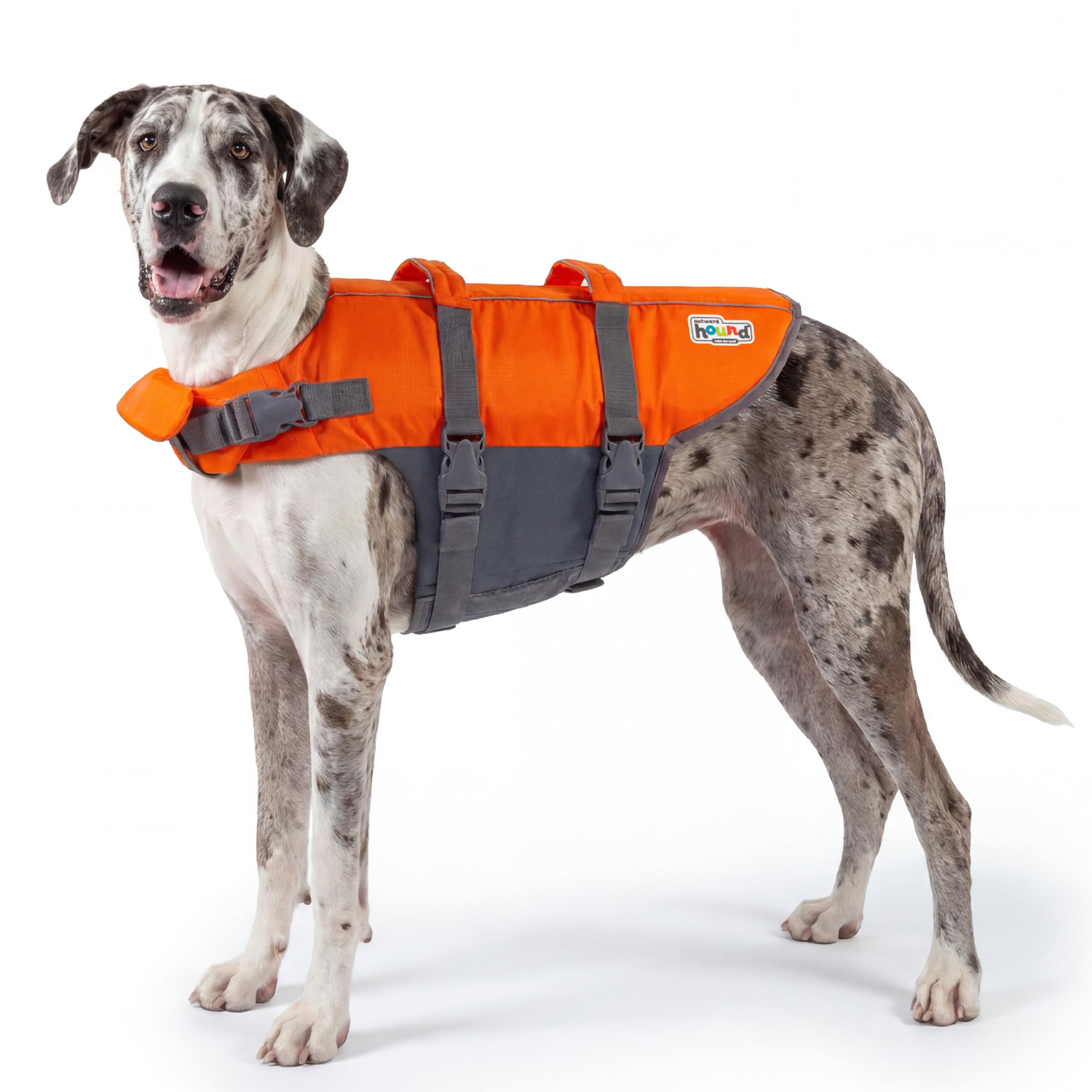 Outward Hound Dawson Red Dog Life Jacket, Large