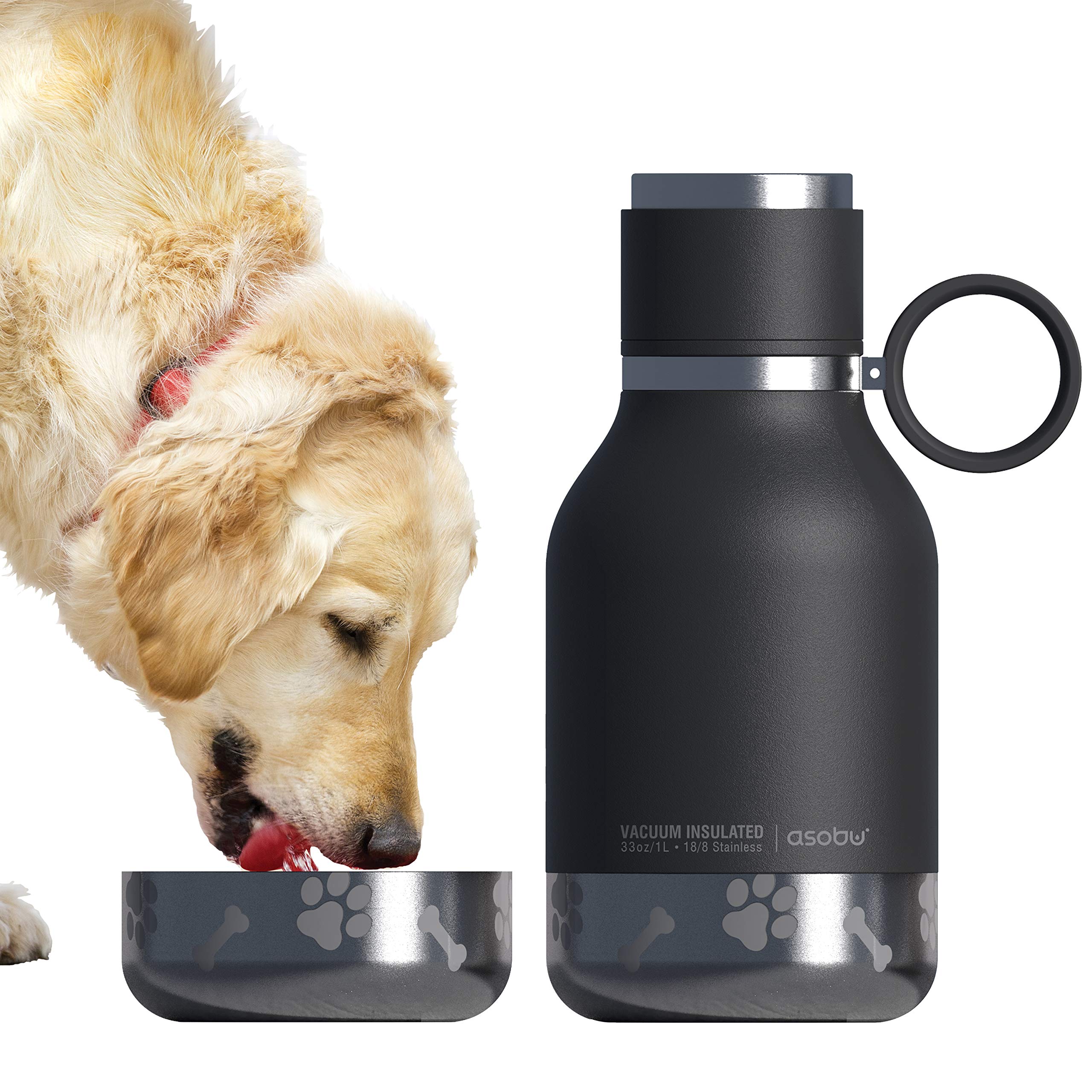 Asobu Buddy Insulated Dog Water Bottle with Storage Bowls