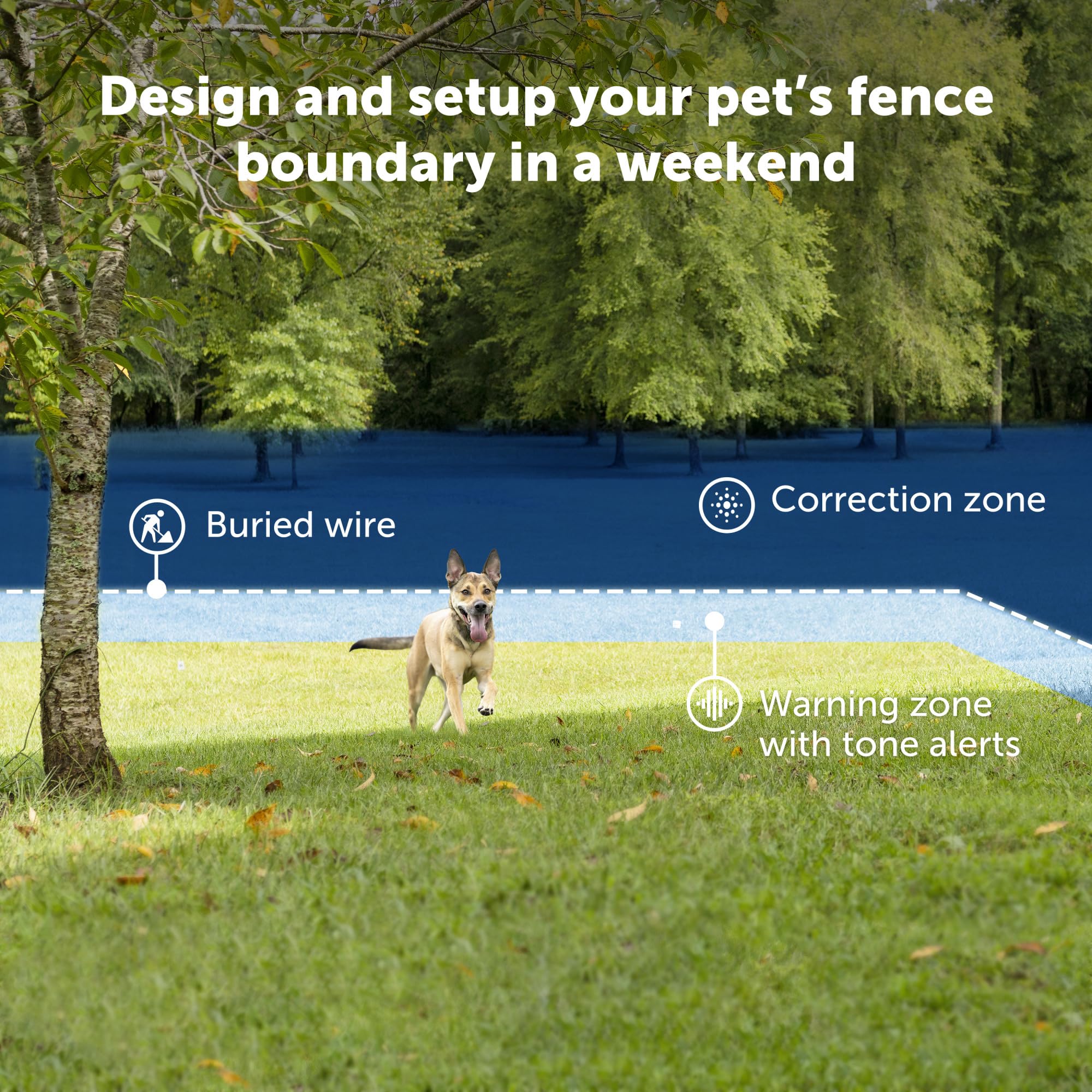 PetSafe Animal Collar